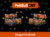 PettBullCat